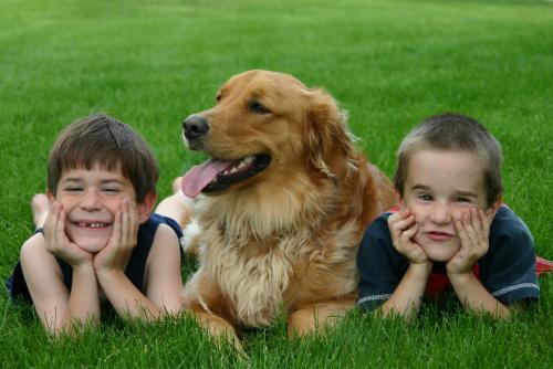 two boys and a dog laying in the grass at Graves Mountain Farm & Lodges in Syria