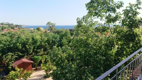 a row of trees with at Stone house with seaview in Nea Potidaea