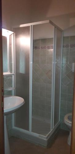 a bathroom with a shower and a sink and a toilet at Agriturismo La Tuva in Padru
