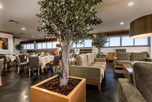 a restaurant with a tree in the middle of the room at Moonlight in Vidigueira