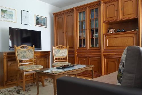 Televisyen dan/atau pusat hiburan di Rodic Apartman stan Ohrid