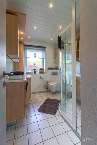 a bathroom with a glass shower and a toilet at Ferienwohnung Schmuckstück in Wolfshagen
