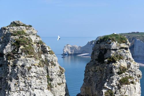 a bird flying over the ocean between two rocky cliffs at Detective Hotel in Étretat