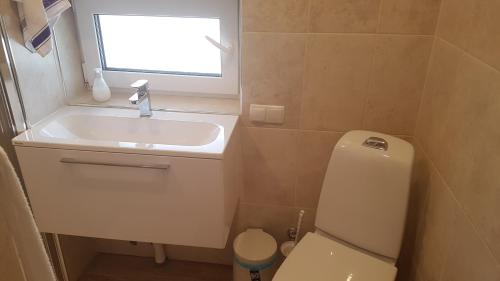 a bathroom with a toilet and a sink and a window at Peipsi Lake House in Kallaste