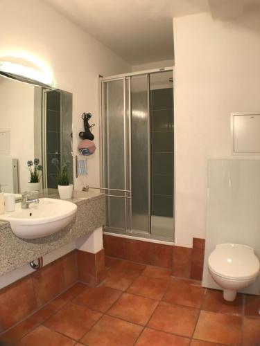een badkamer met een wastafel, een douche en een toilet bij Ferienwohnung la mer in Kühlungsborn