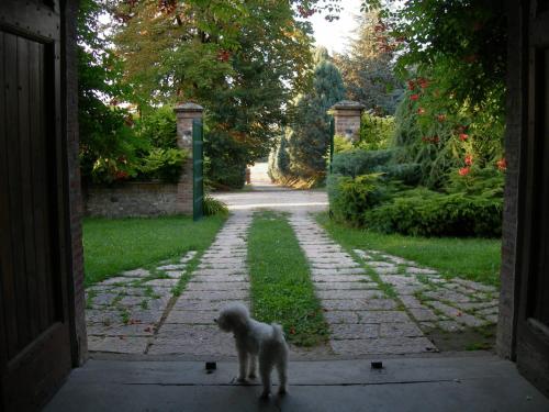 a small monkey standing in the doorway of a door at Tenuta Terensano in Monleale
