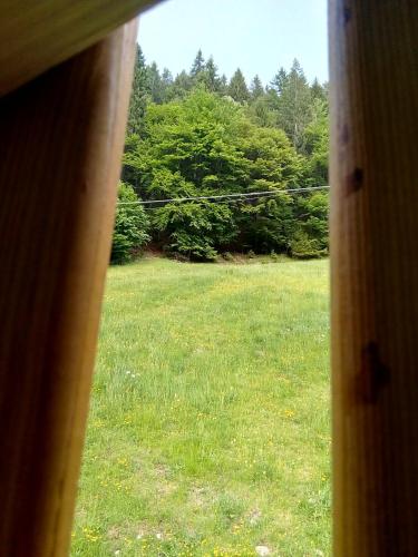 a window view of a field of grass with trees at B&B PRA' DEI CERVI in Telve