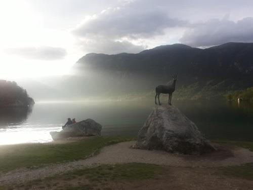 a giraffe standing on top of a rock in the water at Snežak (Snowman) in Bohinj