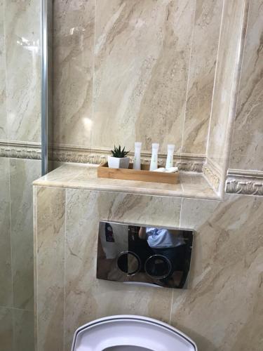 bagno con servizi igienici e un buco sul pavimento di Pensiunea Alex & Restaurant a Eşelniţa
