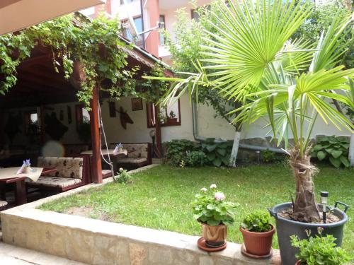 Κήπος έξω από το Beroe