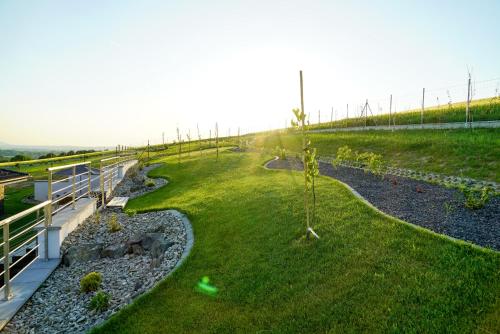 a garden with a small tree in the grass at Luxury Villa in Moravany nad Váhom