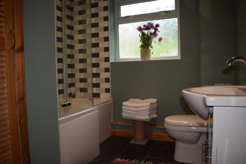 a bathroom with a toilet and a sink and a window at Healing Pastures Farm in Llanbrynmair