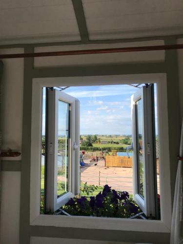 Κήπος έξω από το Willowbank shepherds hut