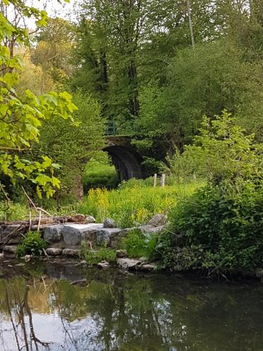a river with a bridge in the background with trees at La parenthèse in Chimay