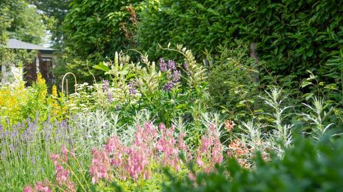 a garden with many different types of flowers at De Anselier in Ansen