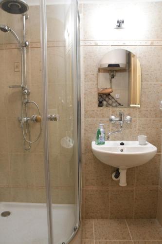a bathroom with a sink and a shower at Penzion-apartmán Souček in Jindrichuv Hradec