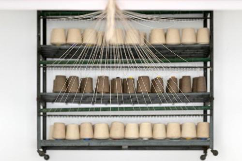 a shelf with a bunch of eggs on it at Hotel da Fábrica in Manteigas