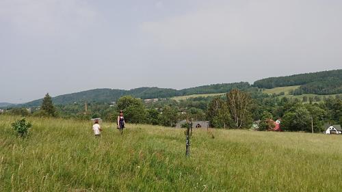 Příroda nedaleko vily