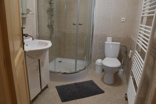 a bathroom with a shower and a toilet and a sink at Penzion-apartmán Souček in Jindrichuv Hradec