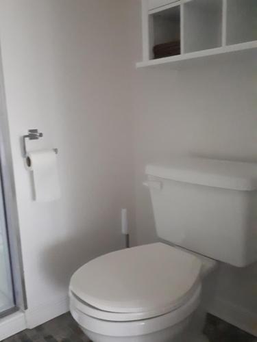 a white toilet sitting in a bathroom next to a window at Les Appartements de La Bergeronnette in Grandes-Bergeronnes