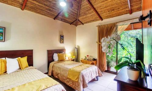 a bedroom with two beds and a large window at San Rafael Ecolodge in San Gerardo