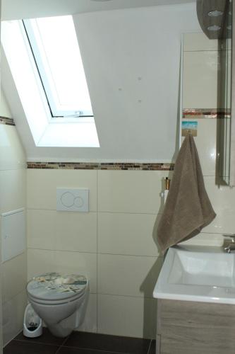 a bathroom with a toilet and a sink and a skylight at Schöne Zeit in Friedrichshafen