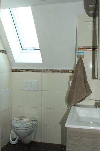 a bathroom with a toilet and a sink and a skylight at Schöne Zeit 2 rooms apartment with kitchen in Friedrichshafen