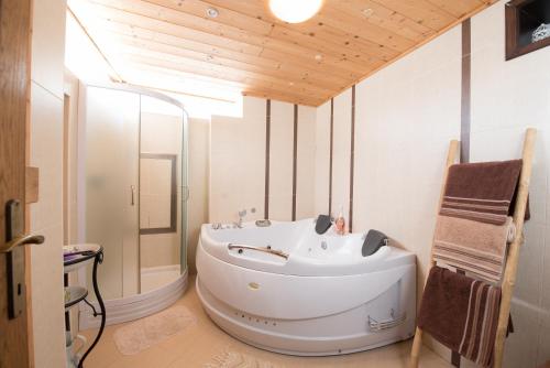 Ένα μπάνιο στο Guest House Rabenseifner - Opatija