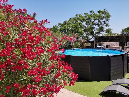 a hot tub in a garden with red flowers at I Dammusi di Punta Karace in Tracino