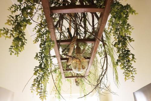 Taman di luar Green Element Guesthouse