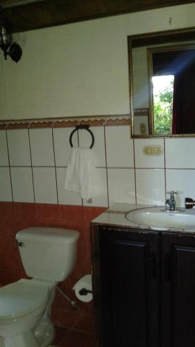 a bathroom with a toilet and a sink and a mirror at Hotel Chalets Los Volcanes in Alajuela City