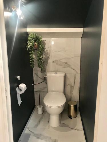 La salle de bains est pourvue de toilettes et d'une plante sur le mur. dans l'établissement Palma rosa, à Cannes