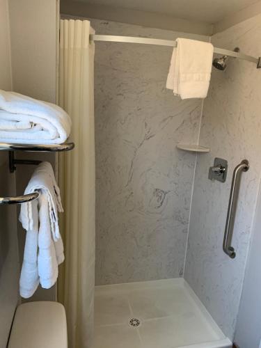a bathroom with a shower with a shower curtain at Bestway Inn in Paso Robles
