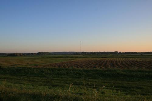 a field of crops with a view of the horizon at Hotel Seeblick garni in Gartow