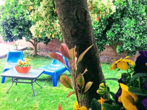 dos sillas y una mesa junto a un árbol en Casa de Férias MariCeu Mirandela, en Mirandela