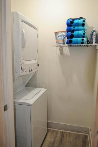 a laundry room with a washer and dryer at Valley View in Lake Cowichan