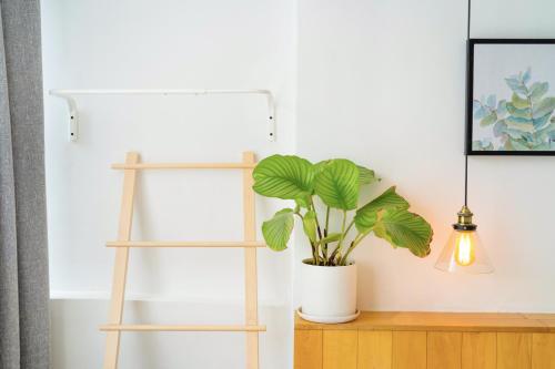 a wooden shelf with a plant on a wooden table at Xi'an Travelling with Hotel South Gate in Xi'an