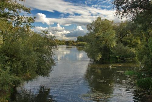 a river with trees on the side of it at Hotel Seeblick garni in Gartow