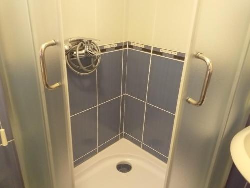 y baño con cabina de ducha y aseo. en Sanjar, en Vrnjačka Banja