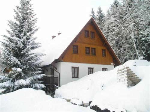 a house is covered in snow with trees at Pension U Háčků in Harrachov