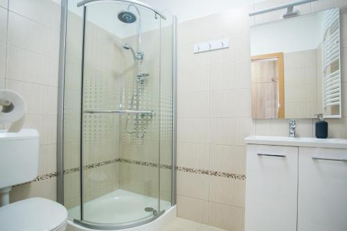 W łazience znajduje się prysznic, toaleta i umywalka. w obiekcie Ormani Modern Stúdióapartman w mieście Pecz