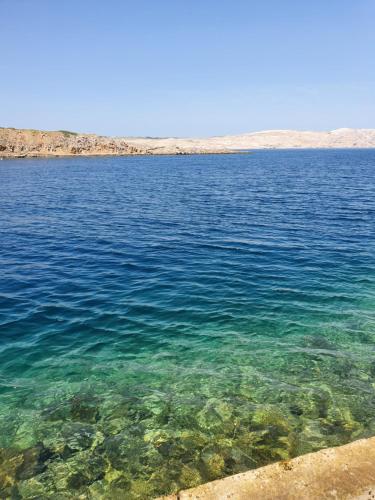 a view of a large body of water at Apartment Magic in Stinica