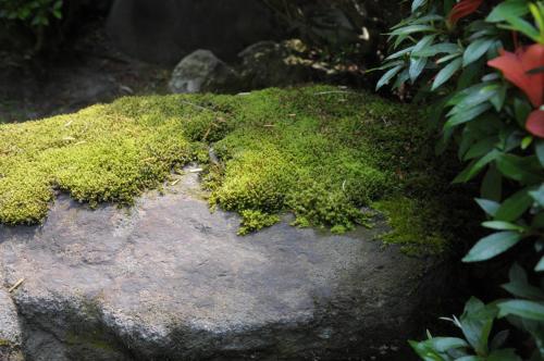 Un jardín fuera de Historical Ryokan SENYUKAN