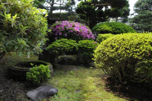 Un jardín fuera de Historical Ryokan SENYUKAN
