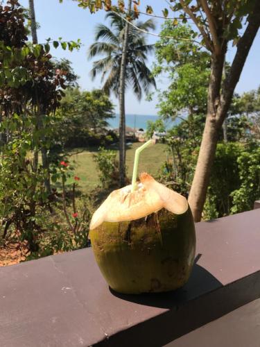 a coconut with a mushroom on top of a table at The First Place Yogaresort, Odayam in Varkala