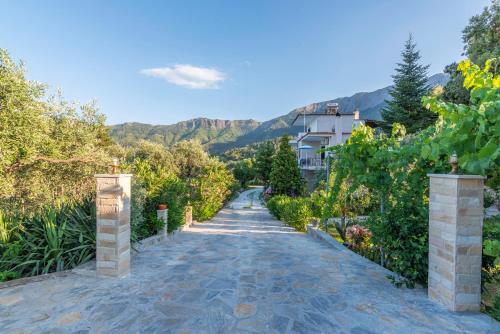 a cobblestone road through a vineyard with a house at Studios Vasilia in Skala Potamias