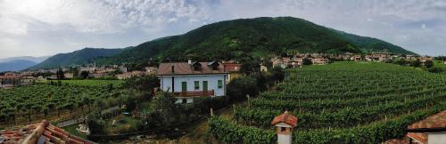 a small town on a hill next to a mountain at Casa Dolce Casa in Valdobbiadene