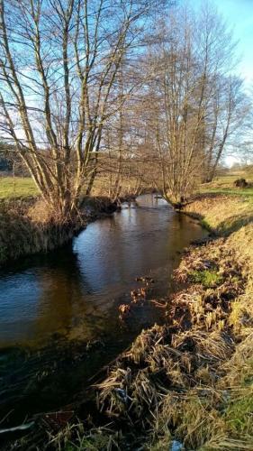 a stream of water with trees on the side of a field at AgroKorytnica in Stara Korytnica