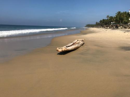a wooden object laying on the sand on a beach at The First Place Yogaresort, Odayam in Varkala