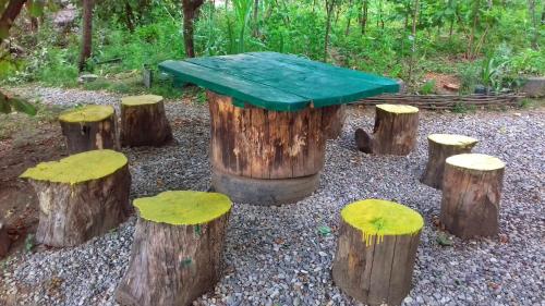 a green table and some tree stump stools at Farmer's Guest House in Tʼelavi
